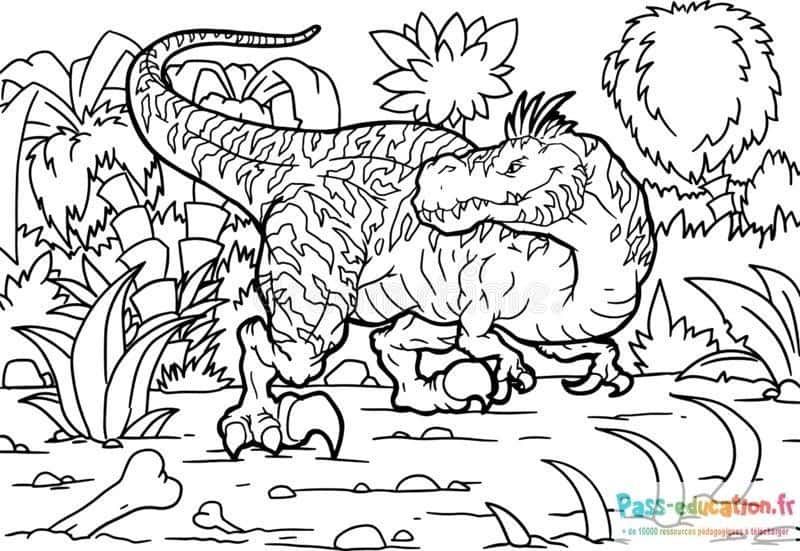 Coloriage Dinosaures préhistoriques à imprimer et colorier
