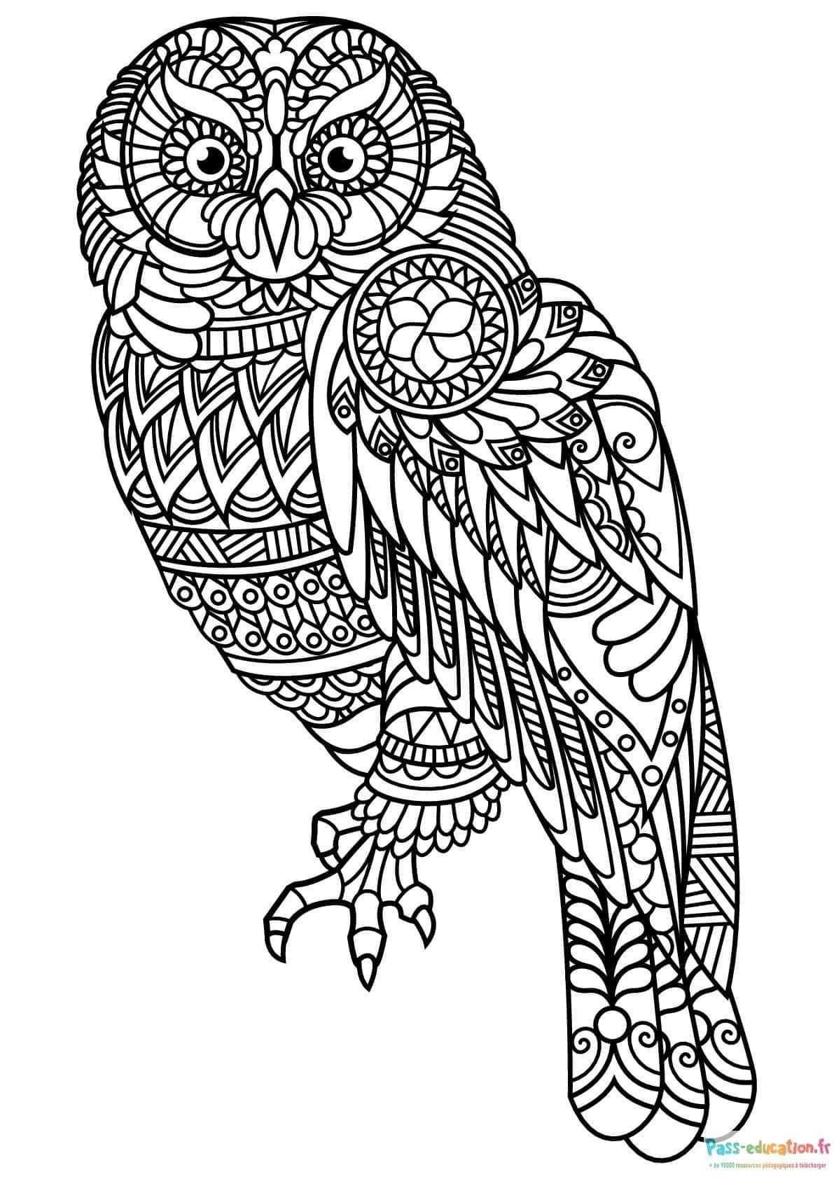 Coloriage Chouette décorée à imprimer et colorier