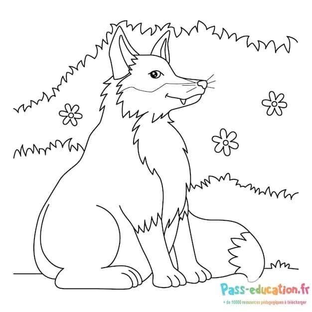 Coloriage Renard dans la nature à imprimer et colorier