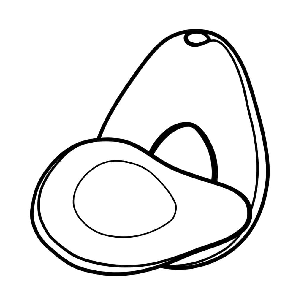Coloriage Avocat ouvert à imprimer et colorier