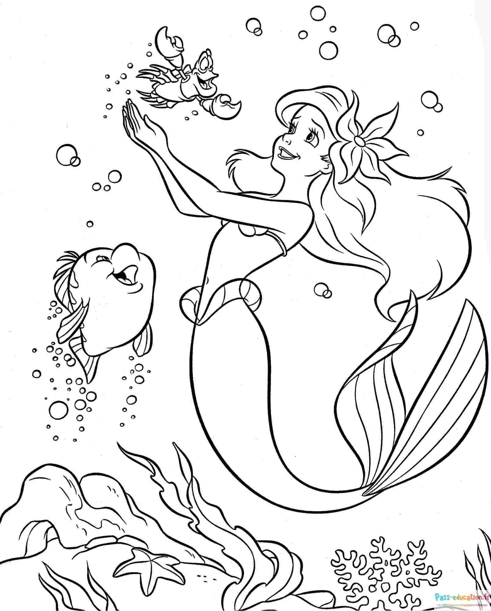 Coloriage Ariel et amis à imprimer et colorier