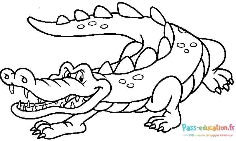 Coloriage Crocodile souriant à imprimer et colorier