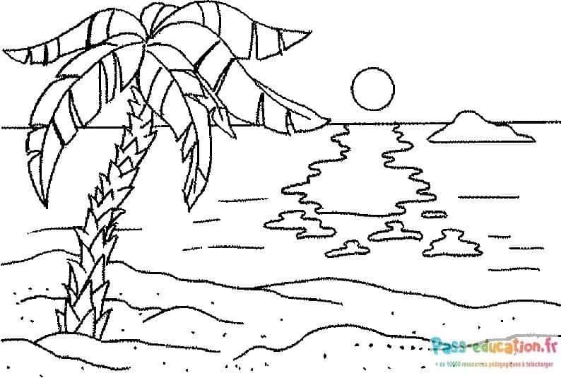 Coloriage Plage tropicale à imprimer et colorier
