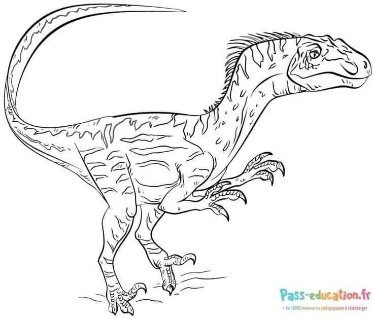 Coloriage Dinosaure préhistorique à imprimer et colorier