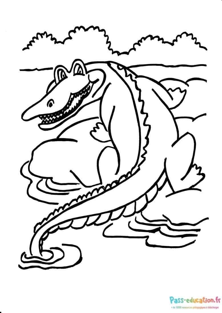 Coloriage Crocodile amical à imprimer et colorier