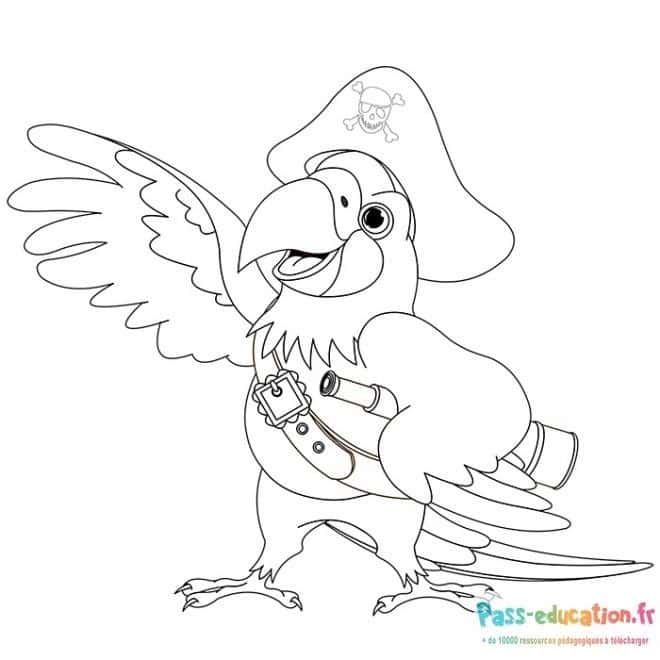 Coloriage Perroquet pirate à imprimer et colorier
