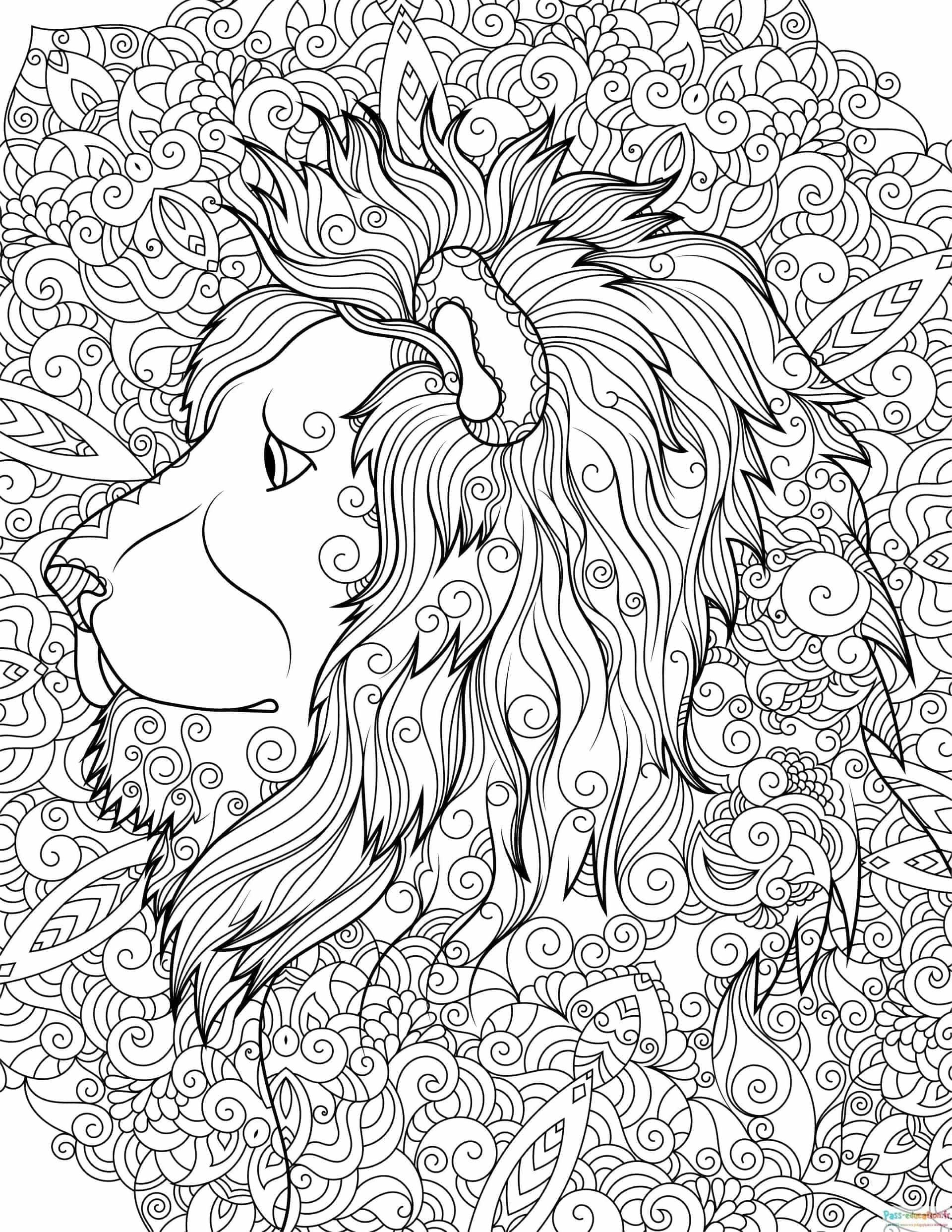 Coloriage Roi de la jungle à imprimer et colorier