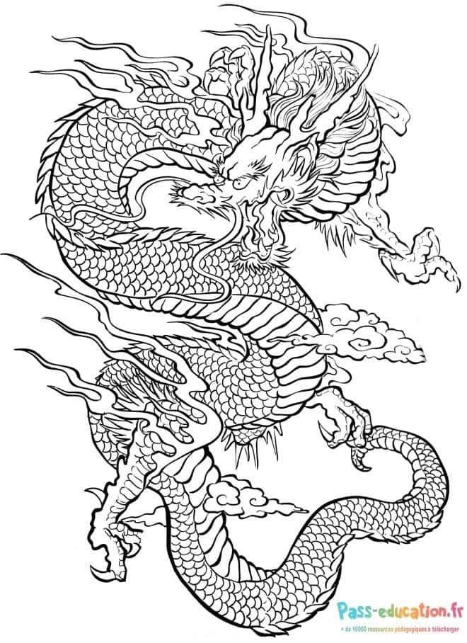 Coloriage Dragon mythique à imprimer et colorier