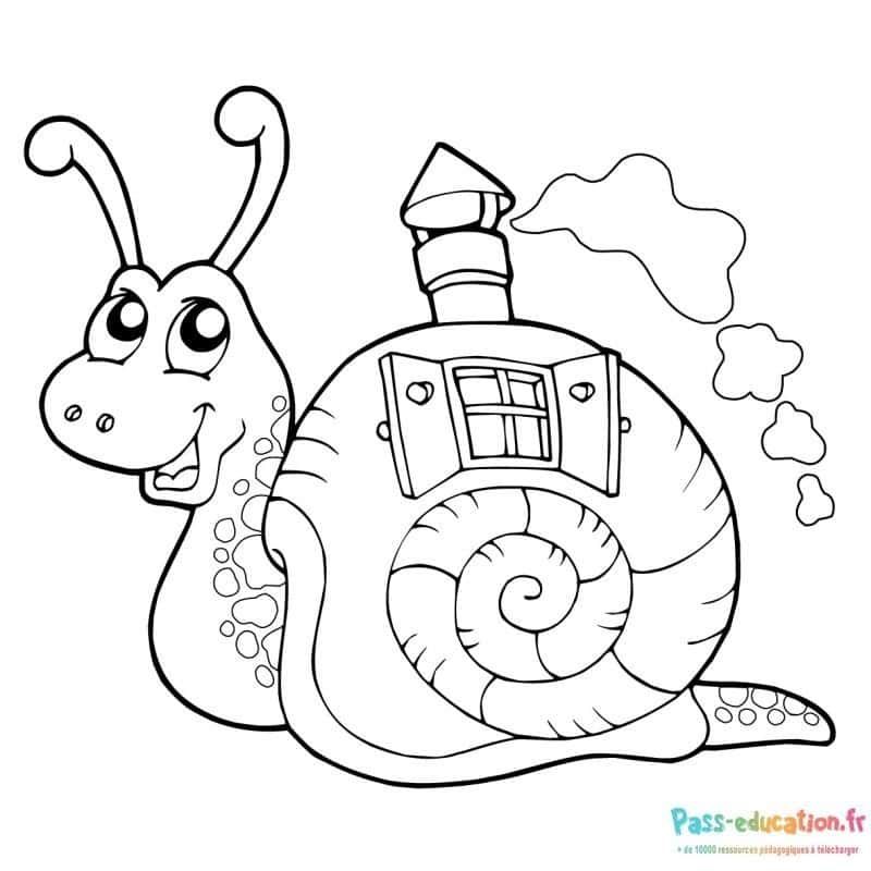 Coloriage Escargot maisonnette à imprimer et colorier
