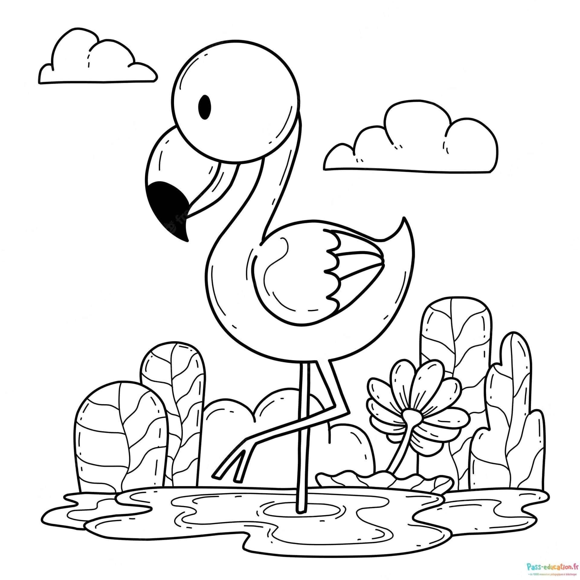 Coloriage Flamant Rose à imprimer et colorier