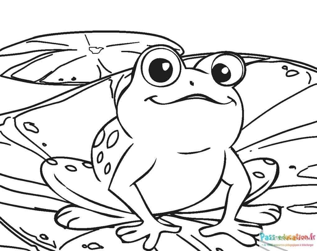 Coloriage Grenouille sur feuille à imprimer et colorier