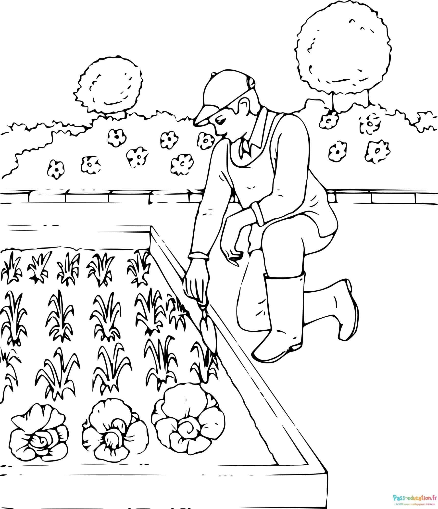 Coloriage Jardinier au travail à imprimer et colorier
