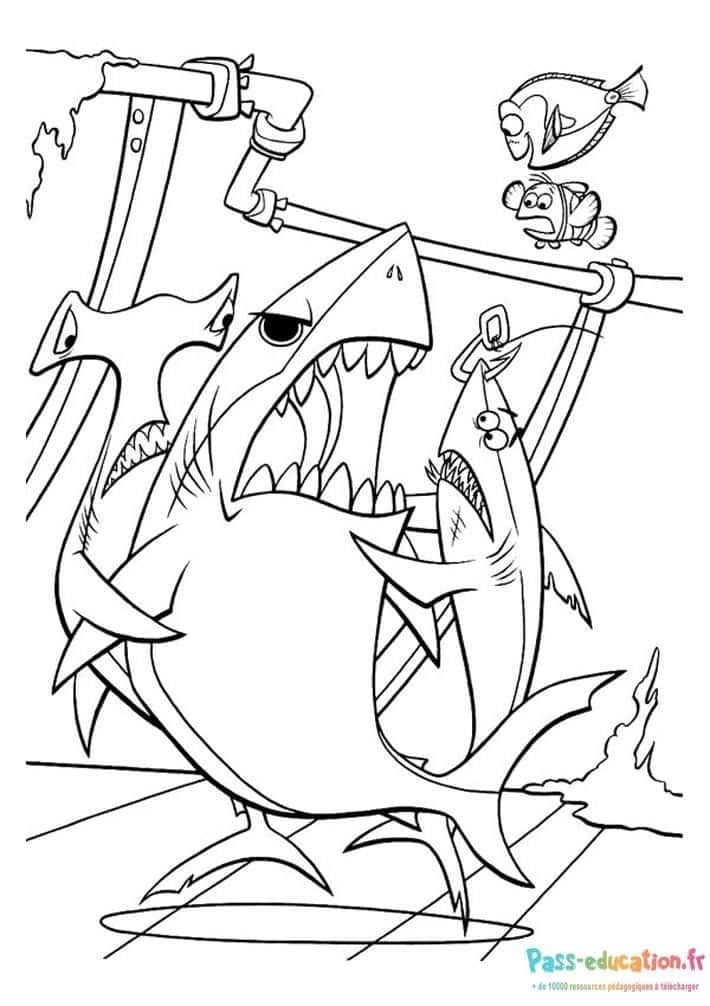 Coloriage Nemo et requin à imprimer et colorier