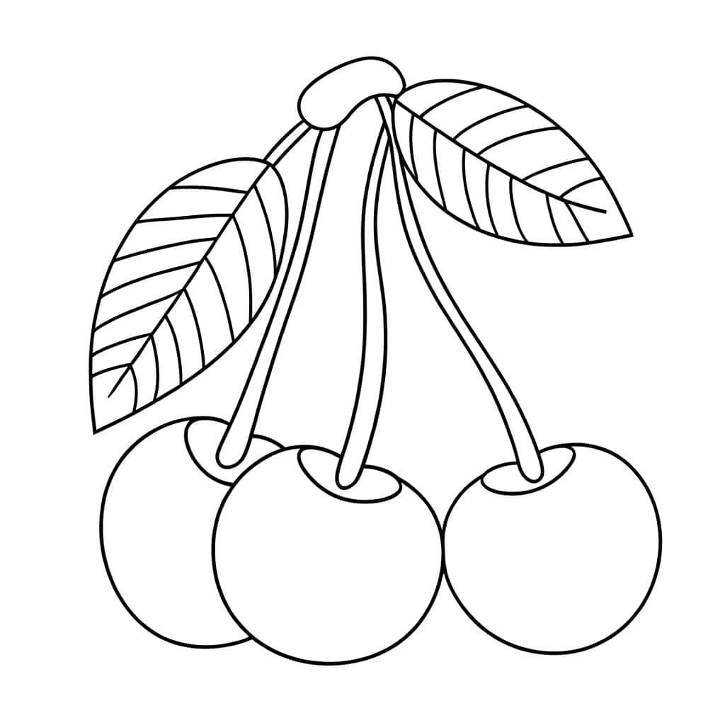 Coloriage Trois cerises à imprimer et colorier