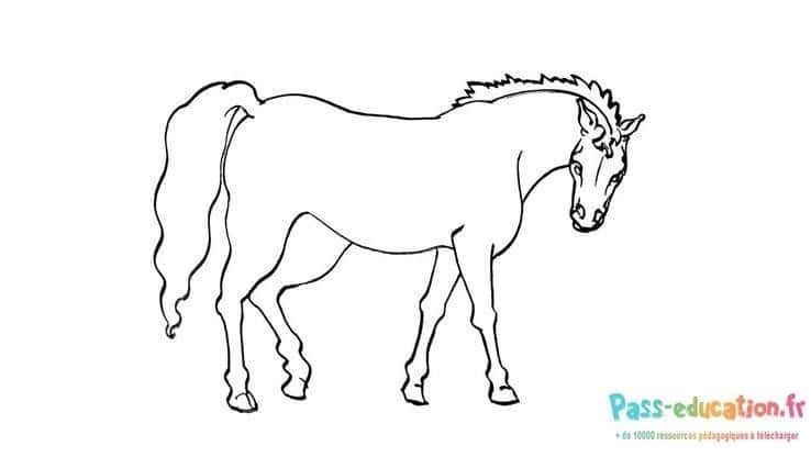 Coloriage Dessin cheval à imprimer et colorier