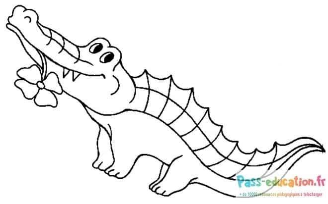 Coloriage Crocodile fleuri à imprimer et colorier
