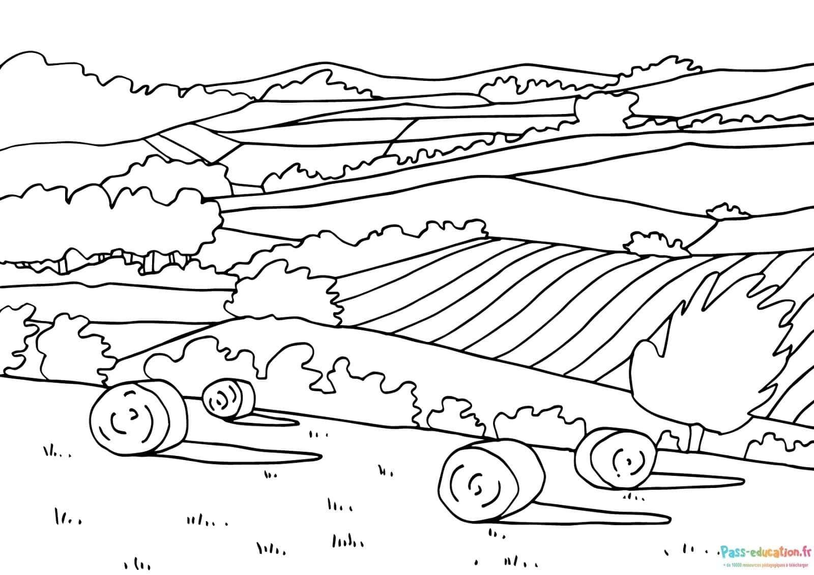 Coloriage Paysage de campagne à imprimer et colorier