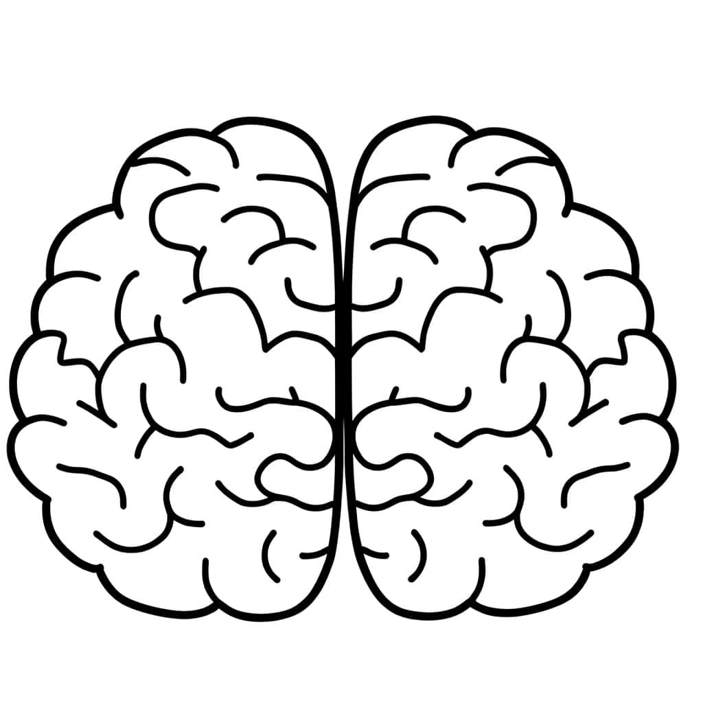Coloriage Cerveau à imprimer et colorier