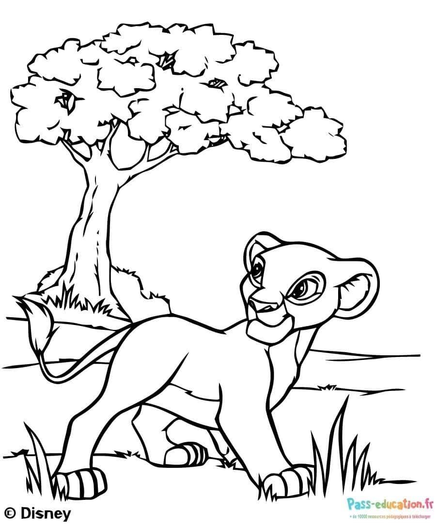 Coloriage Lion sous arbre à imprimer et colorier