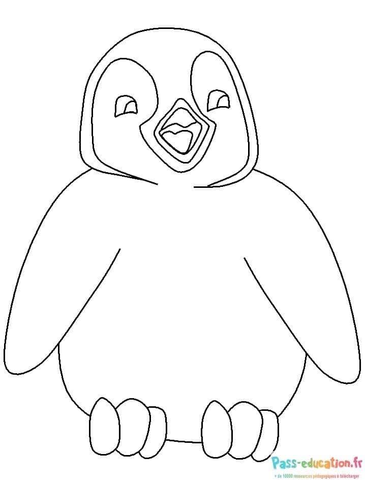 Coloriage Pingouin souriant à imprimer et colorier