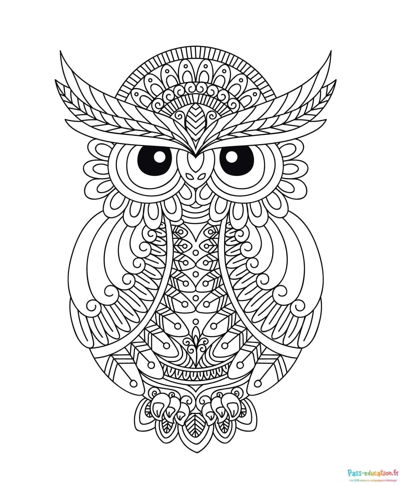 Coloriage Chouette mandala à imprimer et colorier