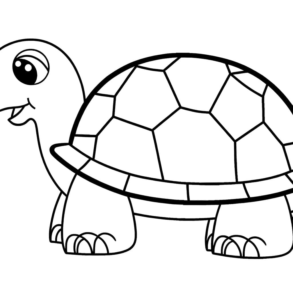 Coloriage Tortue dessin animé à imprimer et colorier