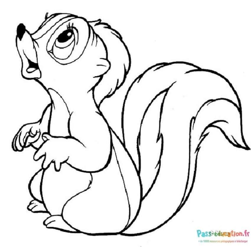 Coloriage Pepe le putois amoureux à imprimer et colorier