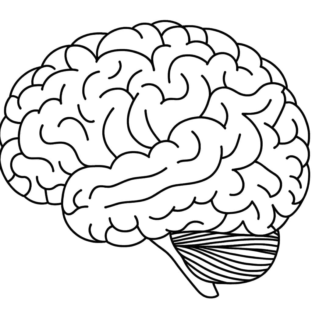 Coloriage Cerveau à imprimer et colorier