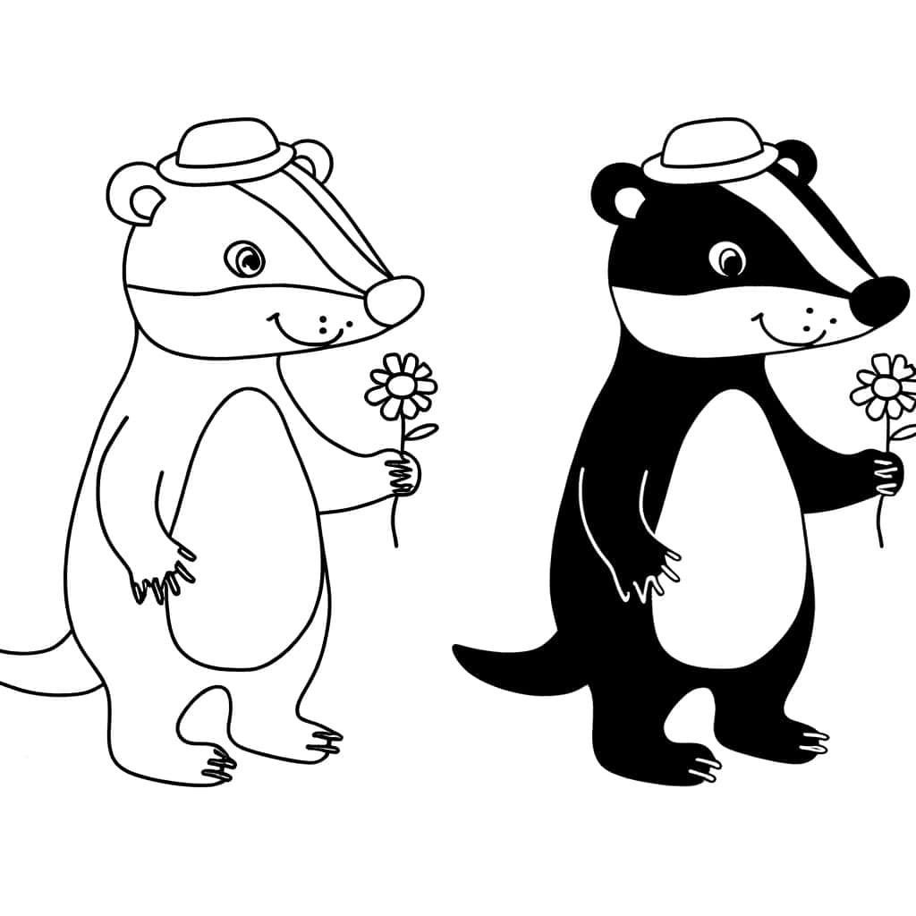 Coloriage Blaireau au chapeau à imprimer et colorier