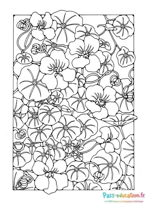 Coloriage Fleurs enchevêtrées à imprimer et colorier