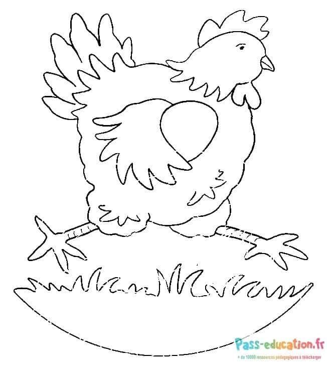 Coloriage Poule sur nid à imprimer et colorier