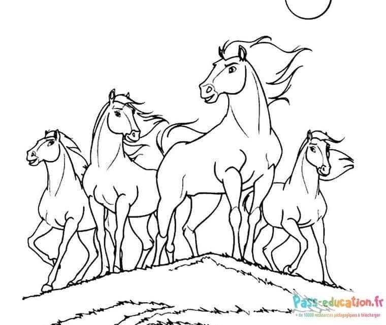 Coloriage Chevaux en groupe à imprimer et colorier