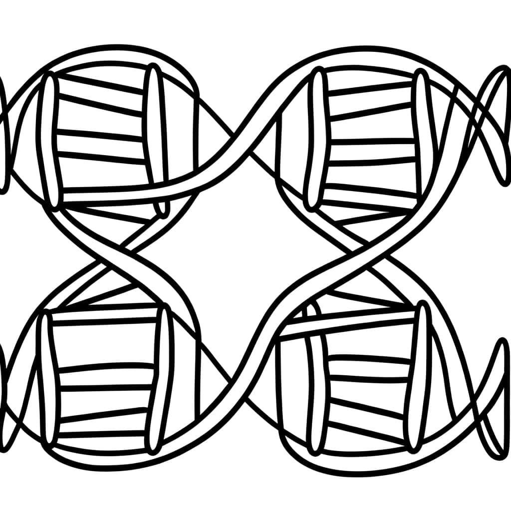 Coloriage ADN double hélice à imprimer et colorier