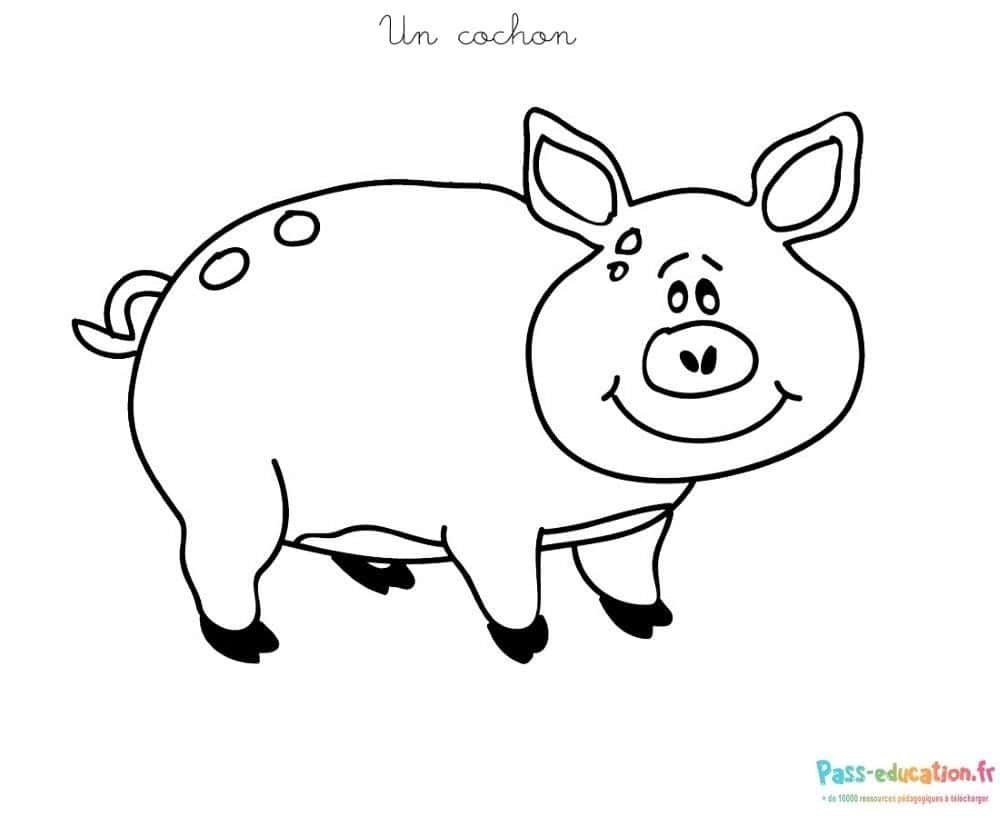 Coloriage Un cochon à imprimer et colorier