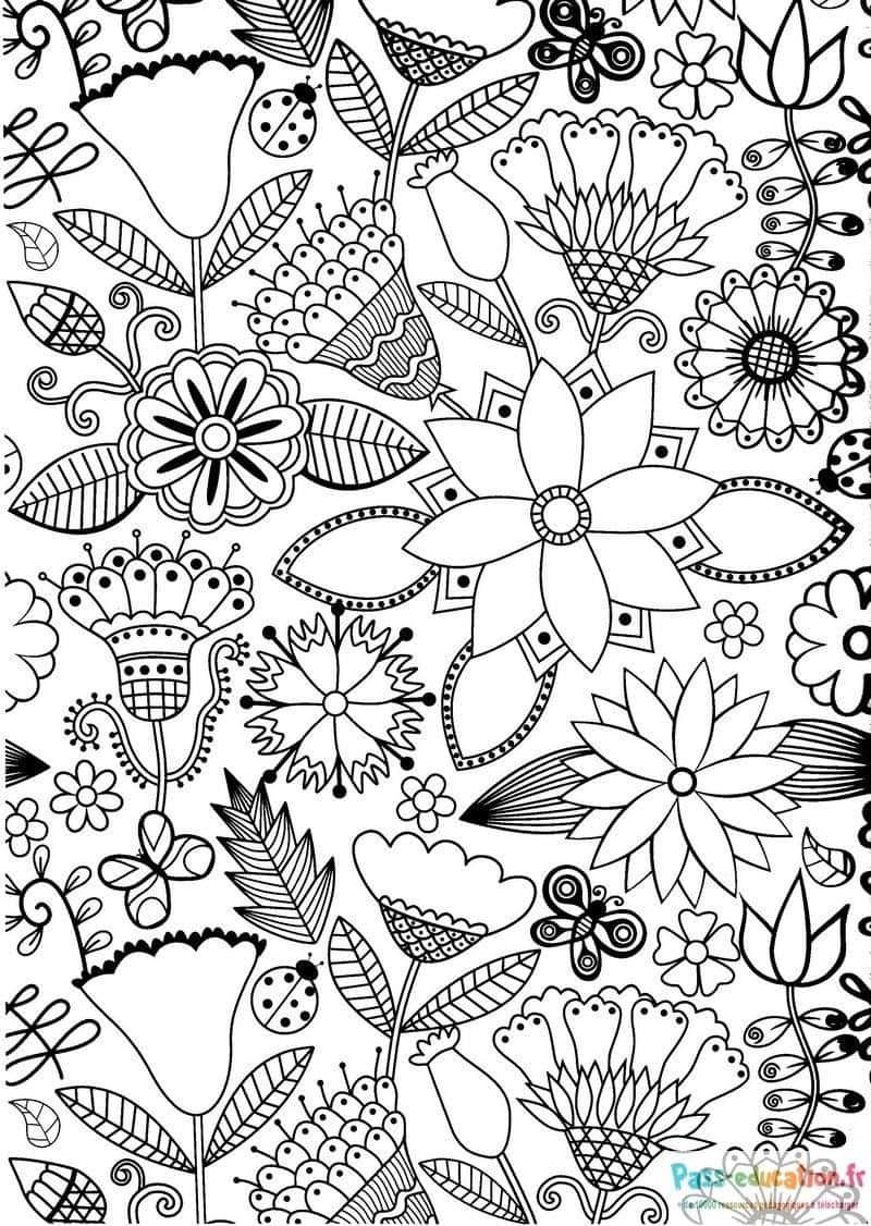 Coloriage Jardin Fleuri à imprimer et colorier