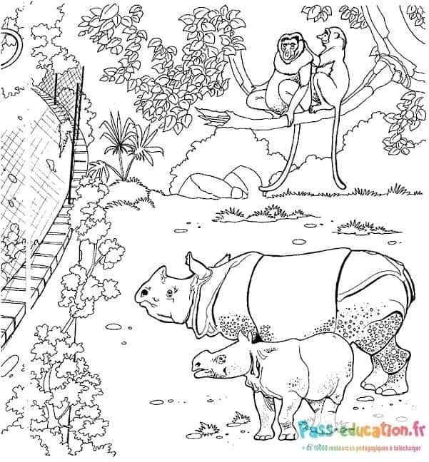Coloriage Zoo amusant à imprimer et colorier