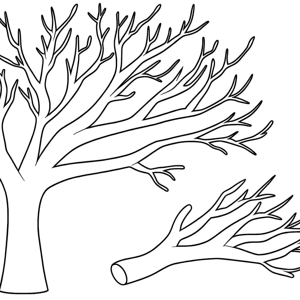 Coloriage Arbre Sans Feuille à imprimer et colorier