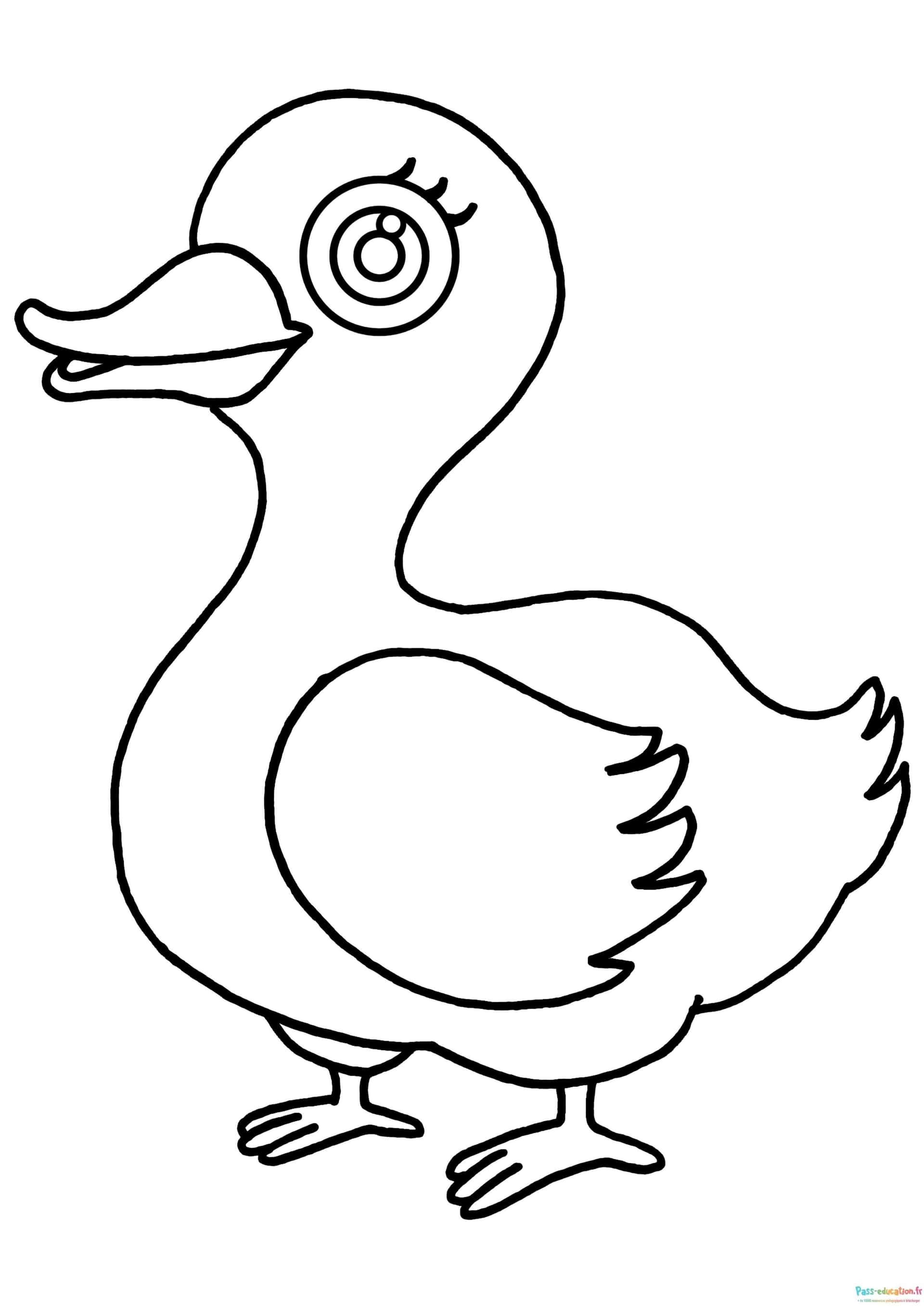 Coloriage Canard souriant à imprimer et colorier