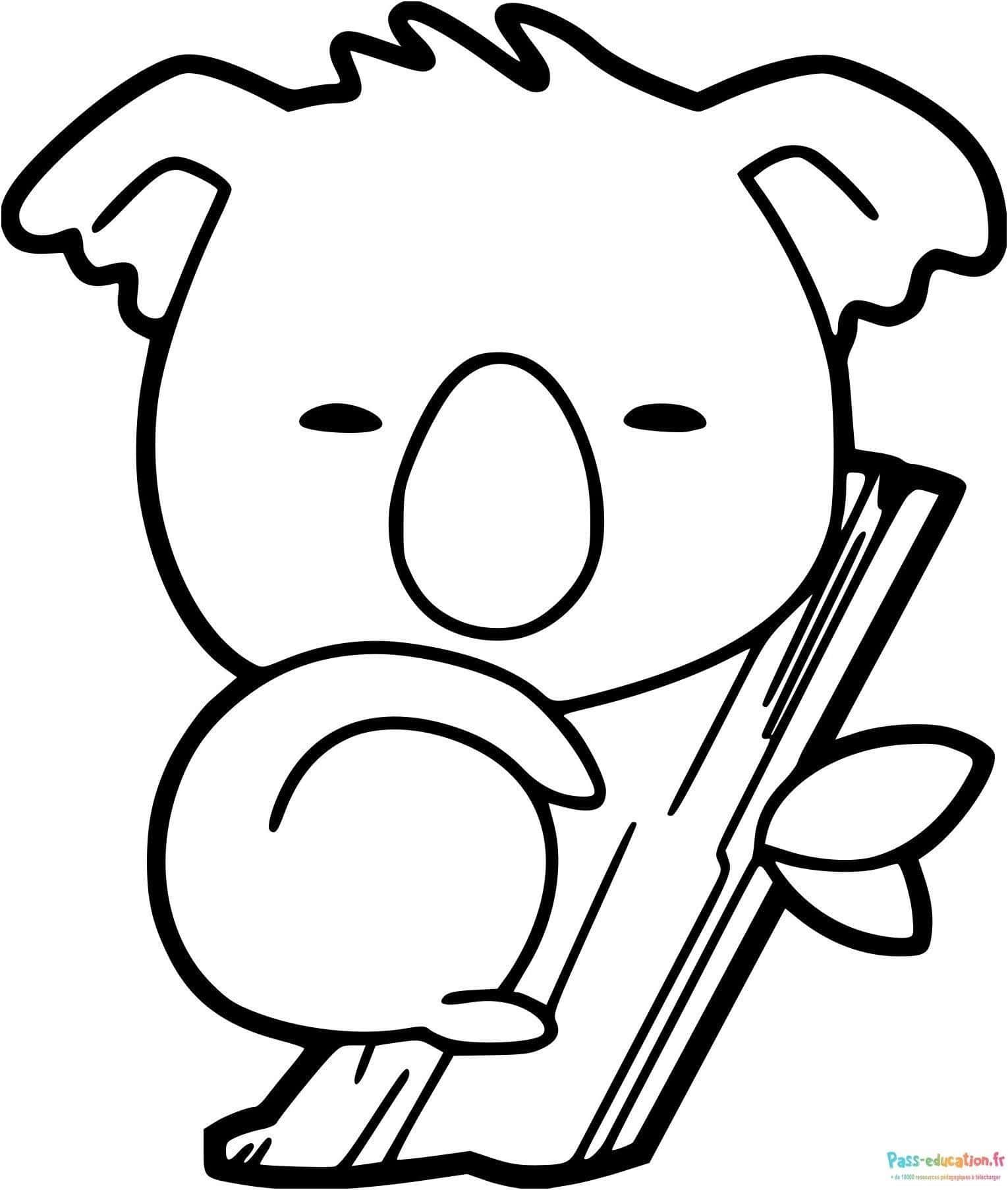 Coloriage Koala sur branche à imprimer et colorier