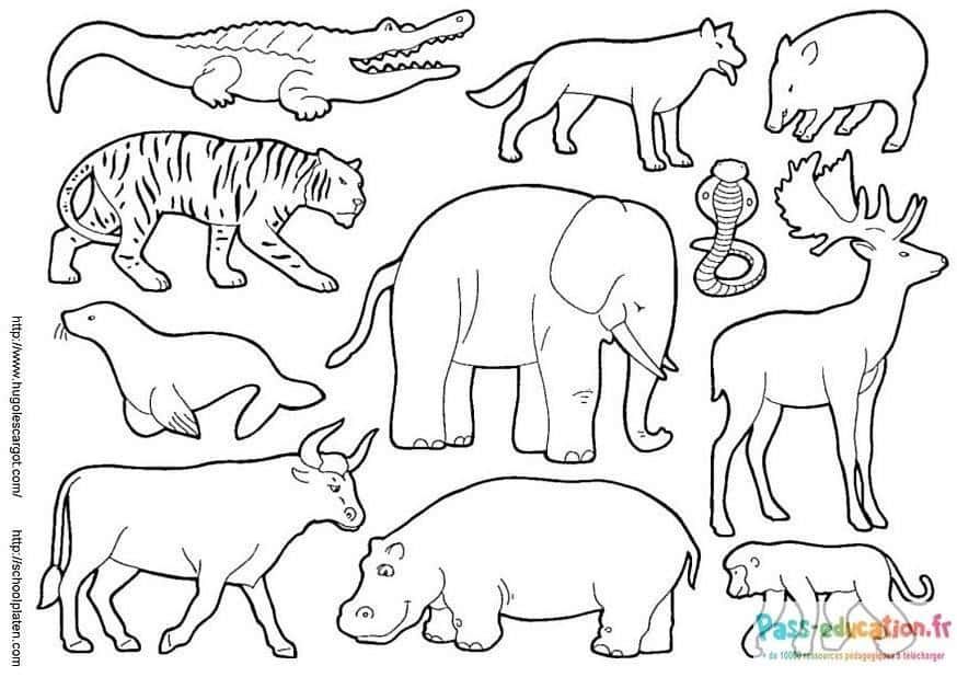 Coloriage Animaux Sauvages à imprimer et colorier