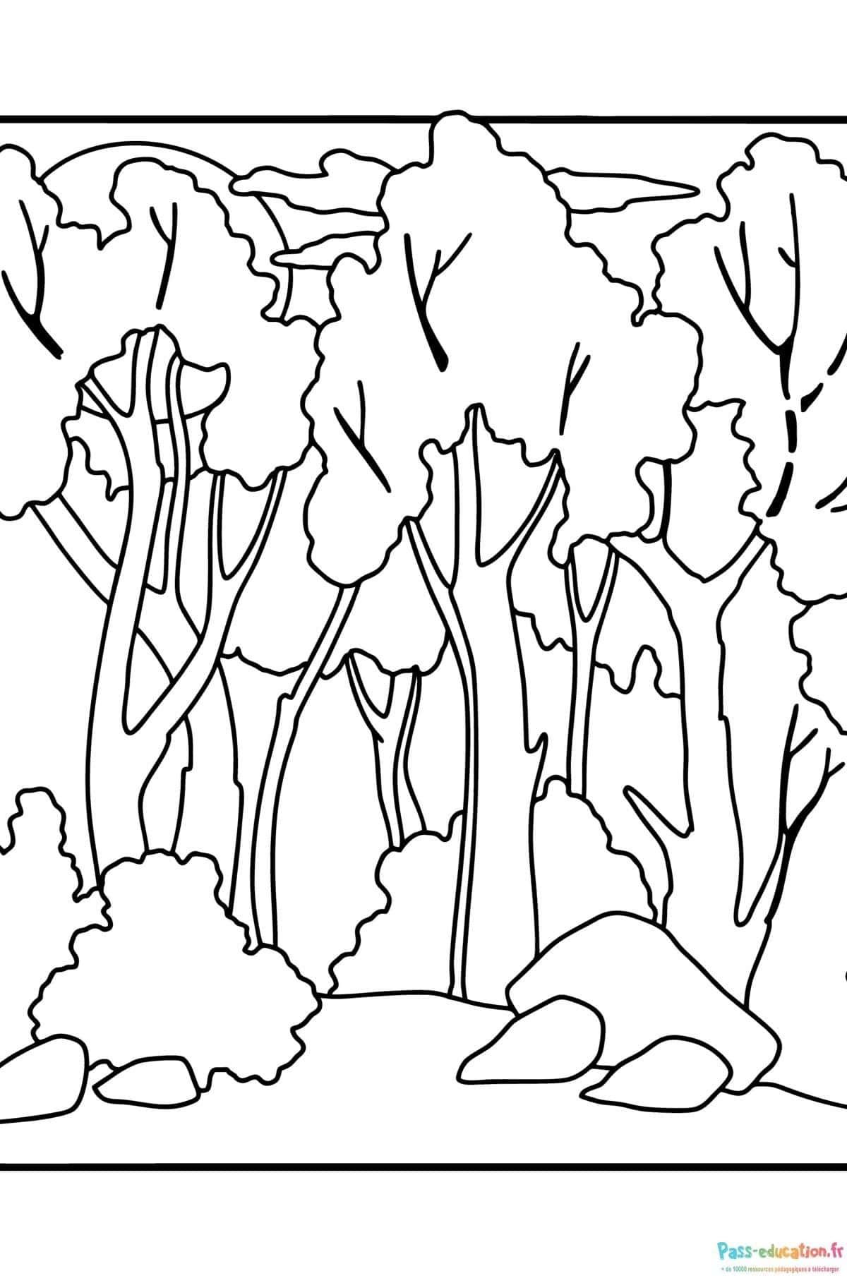 Coloriage Forêt enchantée à imprimer et colorier