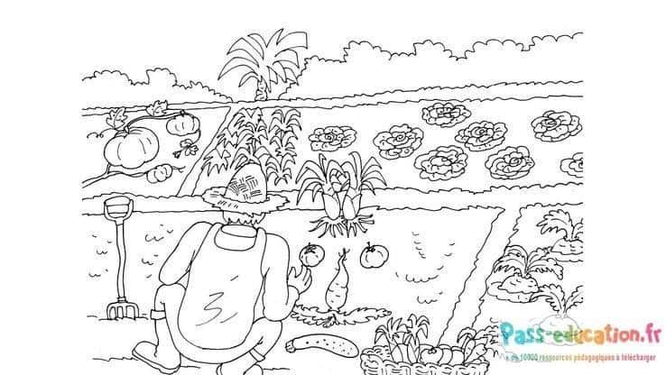 Coloriage Jardinier dans le potager à imprimer et colorier