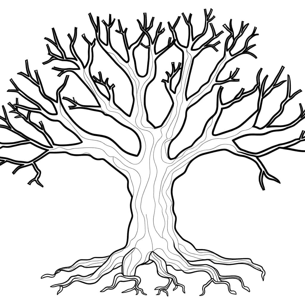 Coloriage Arbre Sans Feuille à imprimer et colorier