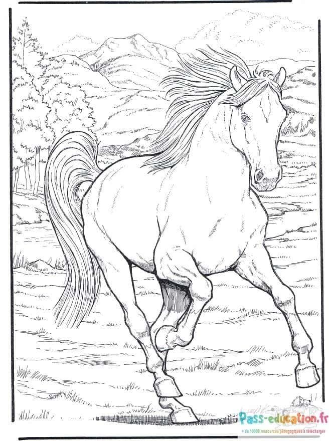 Coloriage Cheval au galop à imprimer et colorier