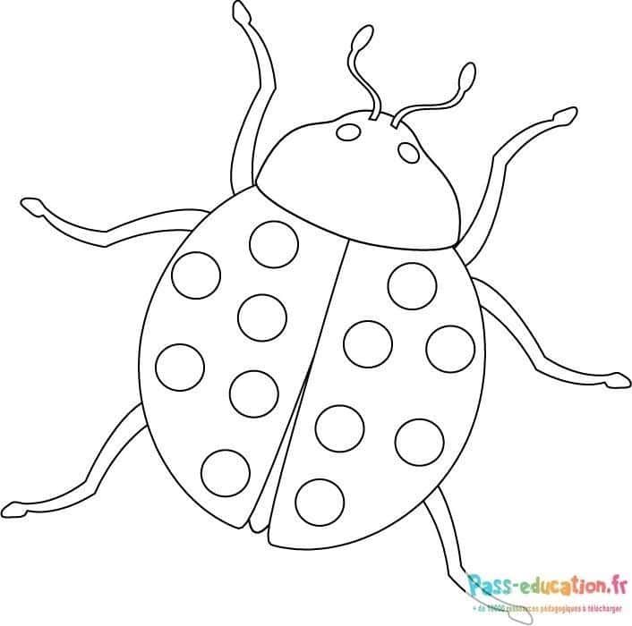 Coloriage Coccinelle joueuse à imprimer et colorier