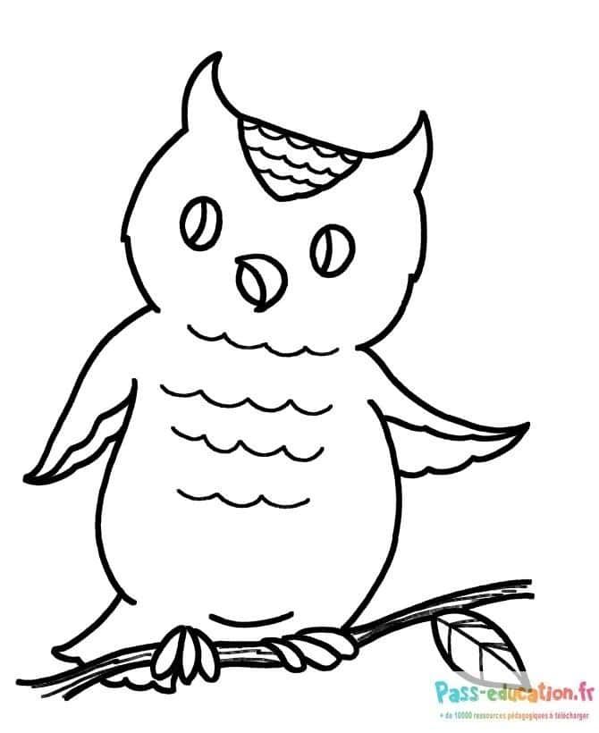 Coloriage Hibou sur branche à imprimer et colorier