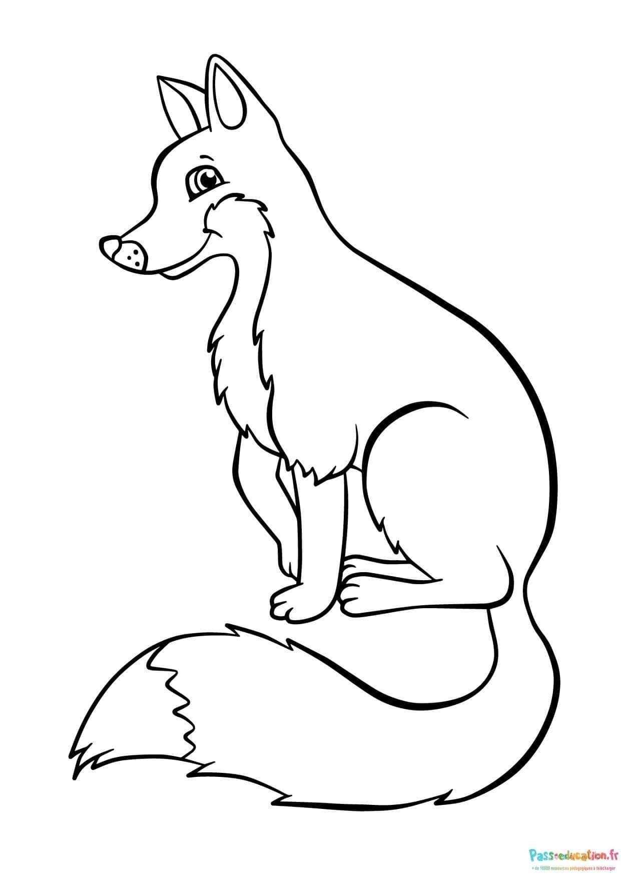 Coloriage Renard attentif à imprimer et colorier