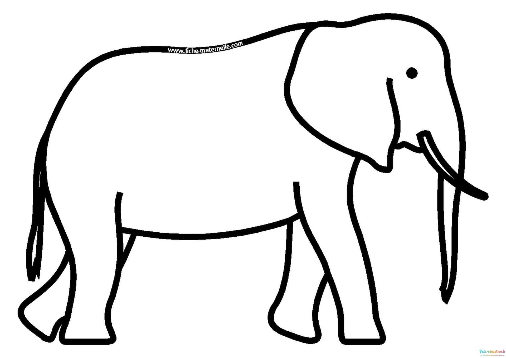 Coloriage Dessin éléphant à imprimer et colorier