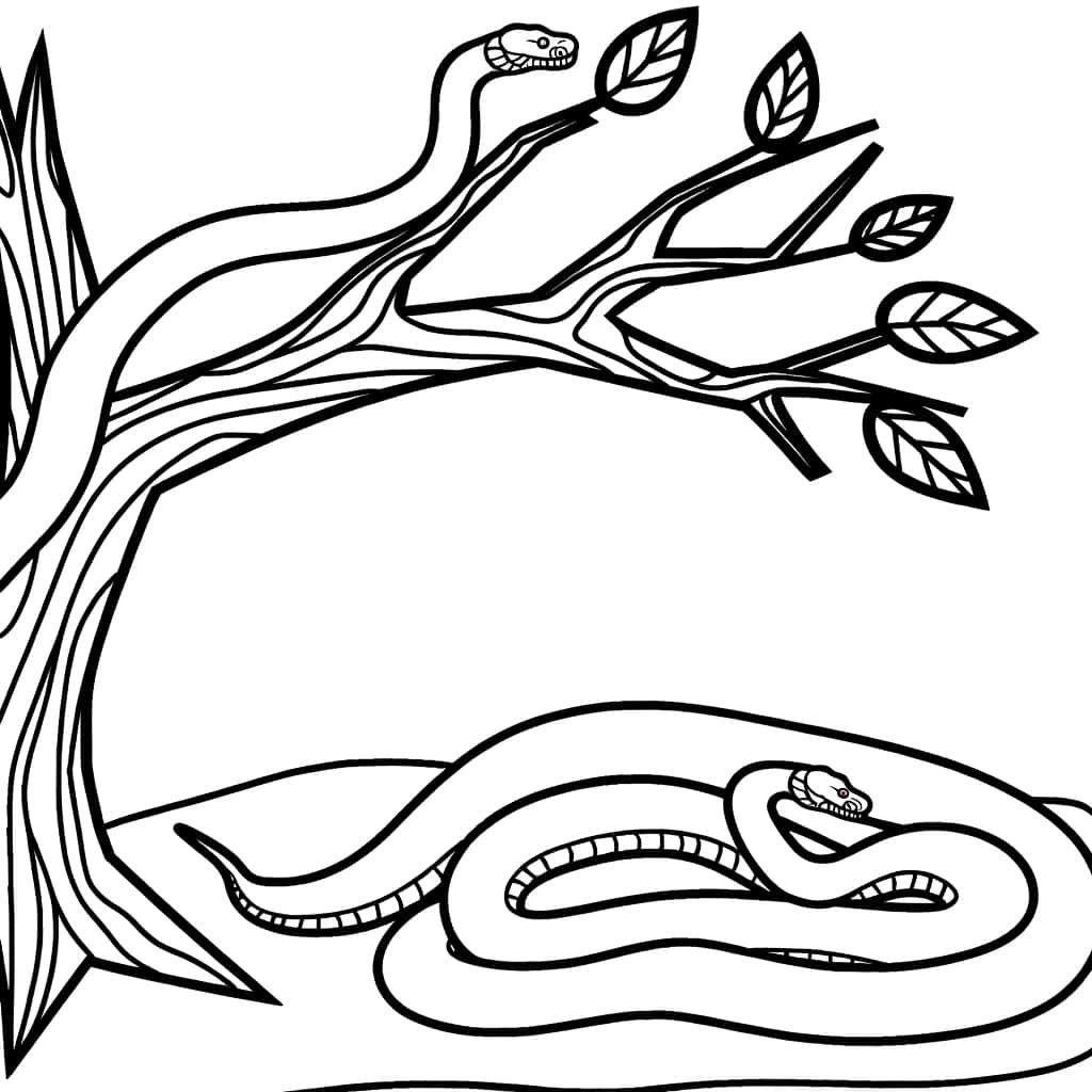 Coloriage Anaconda dans la jungle à imprimer et colorier