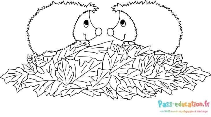 Coloriage Hérissons d'automne à imprimer et colorier